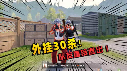 和平精英高端锦鲤内核软件：超强稳定性加持，安卓 /iOS 双端适配_